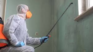 Best Mold Remediation for Healthcare Facilities  in Kent, WA