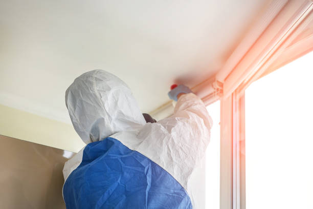 Mold Remediation for Vacation Homes in Kent, WA